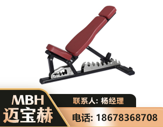 延边可调哑铃椅