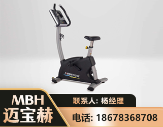延边立式健身车
